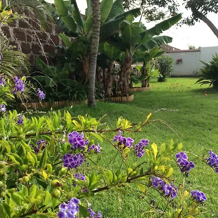 Finca Las Acacias Holiday home